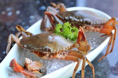 198元龍蝦海鮮拼盤免費送！品味鮮香，暢享海鮮火鍋盛宴