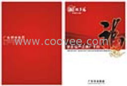 廣州專業(yè)畫(huà)冊(cè)設(shè)計(jì)印刷與網(wǎng)站設(shè)計(jì)服務(wù)
