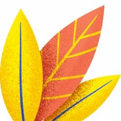 快看看你是否在用 這6批次紙制品類產(chǎn)品不合格